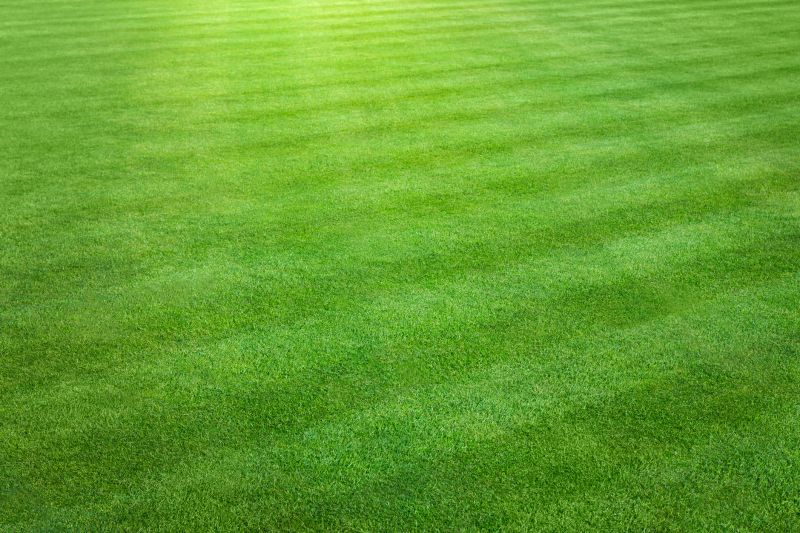Lawn Leveling detail