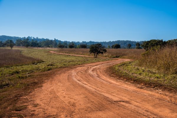 Dirt Driveway Repair in Brunswick