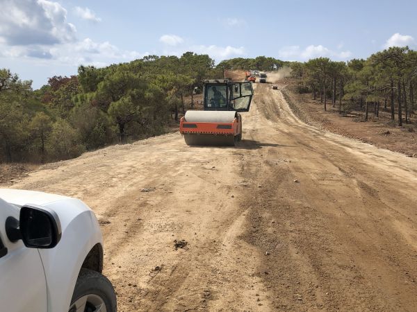Cost of Driveway Grading in Brunswick