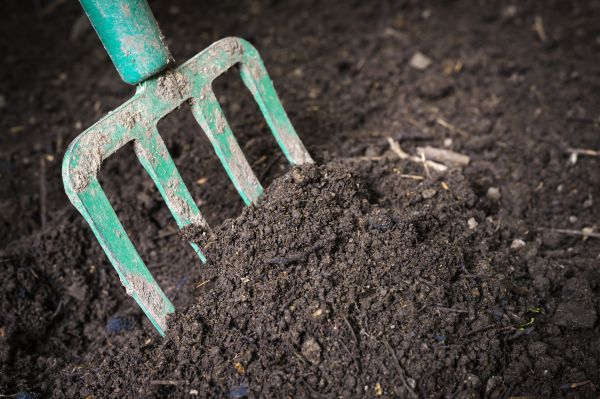 Cost of Topsoil Spreading in Brunswick