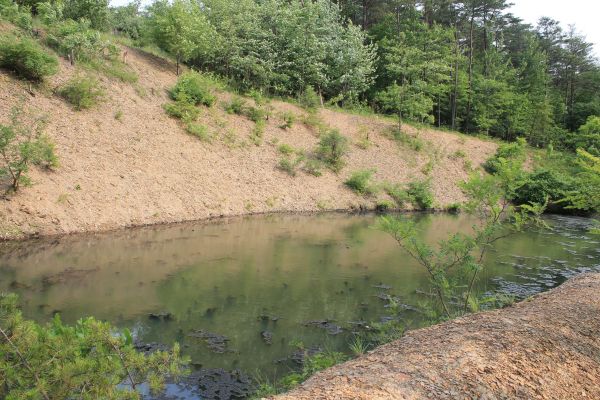 Cost of Pond Erosion Repair in Brunswick